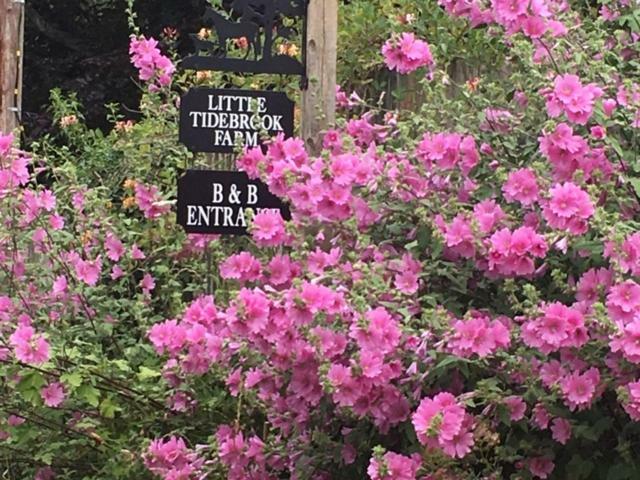 Little Tidebrook Farm Bed and Breakfast Wadhurst Buitenkant foto